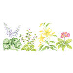 Hosta Mix Flower Wall Stencil