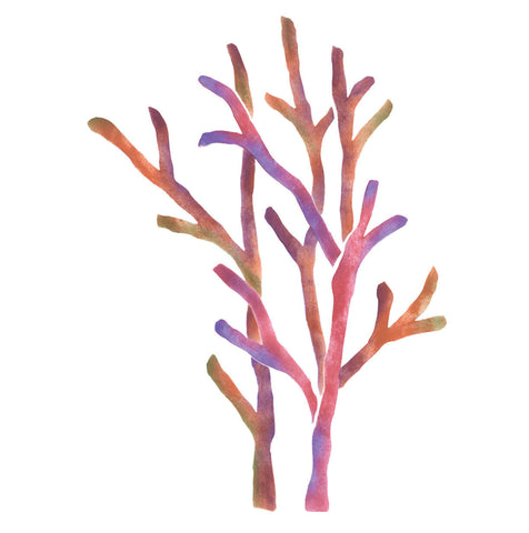 Sea Coral Bunch Wall Stencil