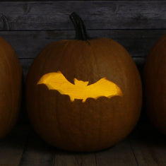 Bat Craft Stencil