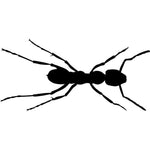 Ant Silhouette Stencil