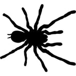 Insect Wall Stencils Tarantula