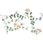 Honeysuckle Vine Border Wall Stencil by DeeSigns