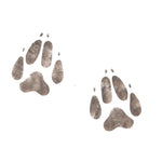 Dog Paw Print Wall Stencil by DeeSigns