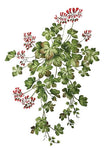 Geranium Vine Wall Stencil by DeeSigns