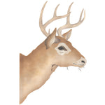 Whitetail Buck Wall Stencil by DeeSigns