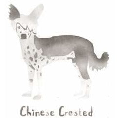 Chinese Crested Dog Mini Stencil