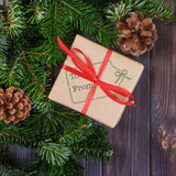 Christmas Greenery Gift Wrap Stencil Kit