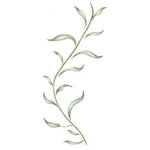 Seaweed Border Stencil